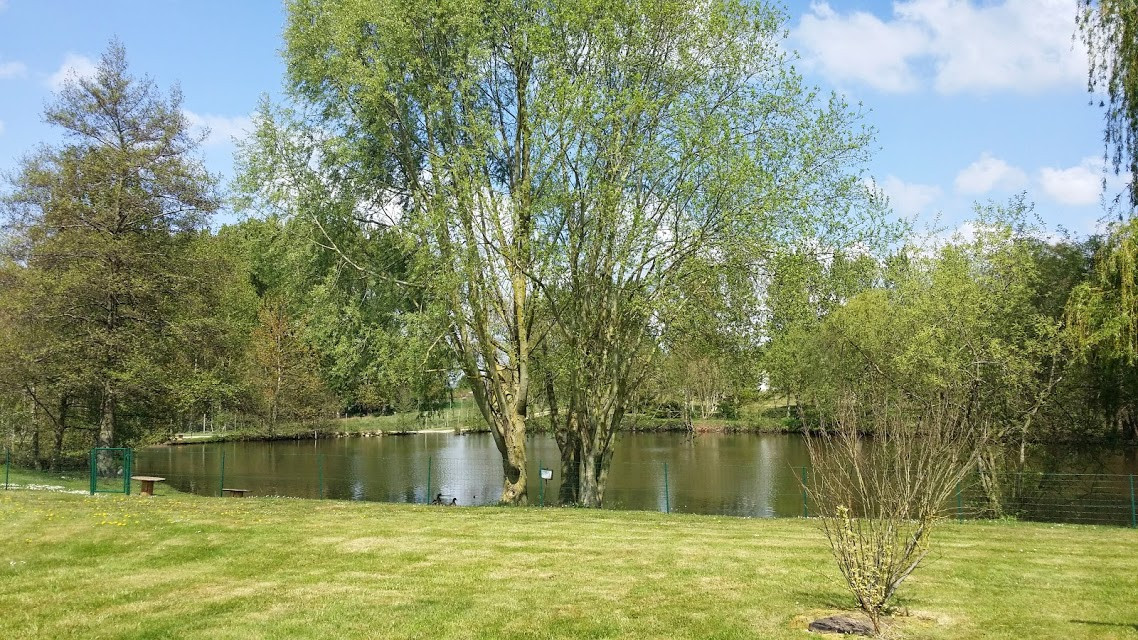 Étang du domaine — pêche